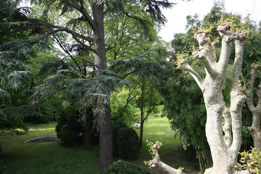L'Oree Du Chateau Roussillon  Εξωτερικό φωτογραφία